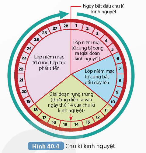 KHỞI ĐỘNG