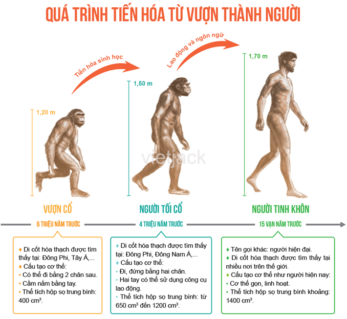 MỞ ĐẦU