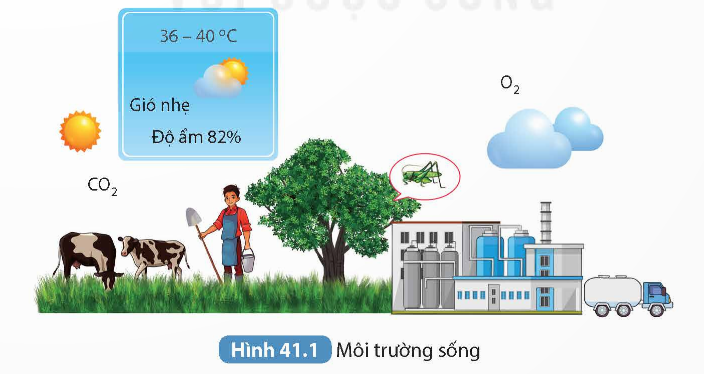 KHỞI ĐỘNG