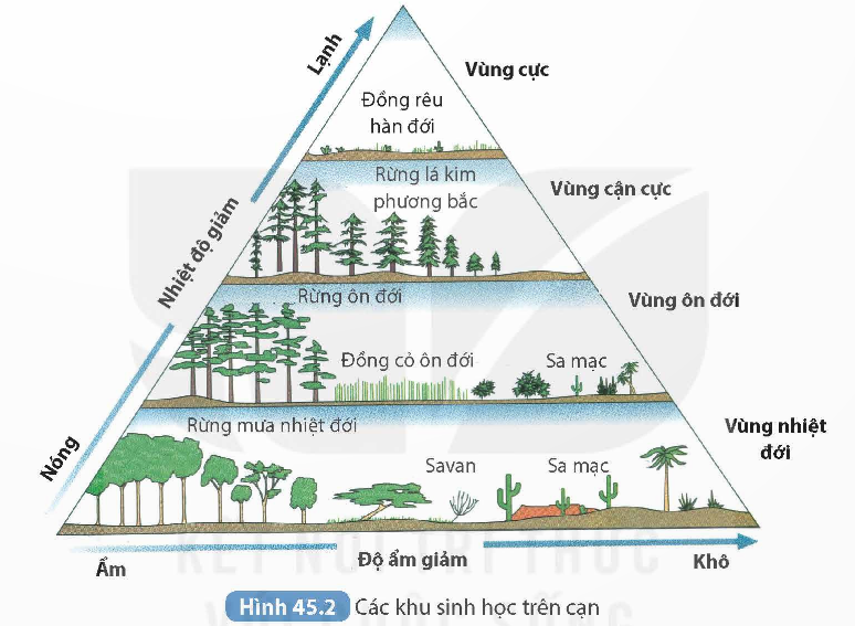 KHỞI ĐỘNG