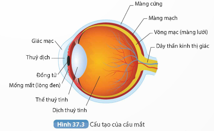 KHỞI ĐỘNG