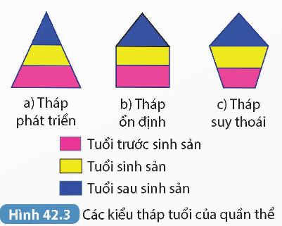 KHỞI ĐỘNG
