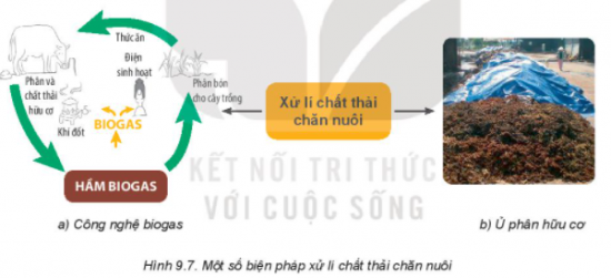 MỞ ĐẦU