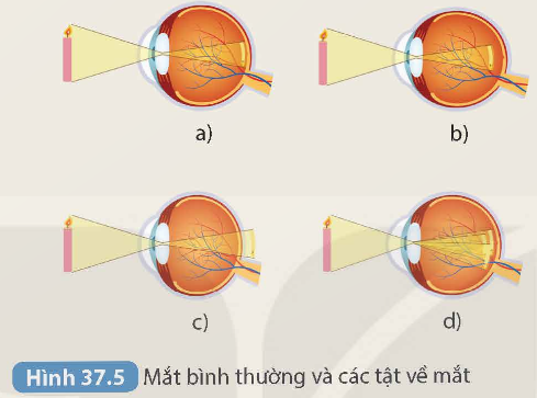 KHỞI ĐỘNG