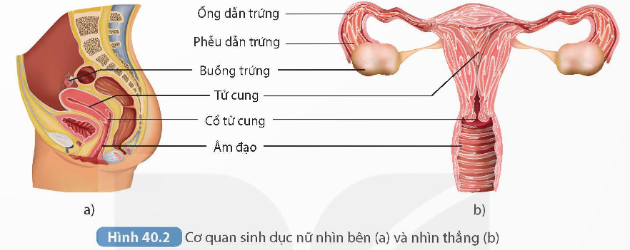 KHỞI ĐỘNG