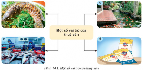 MỞ ĐẦU