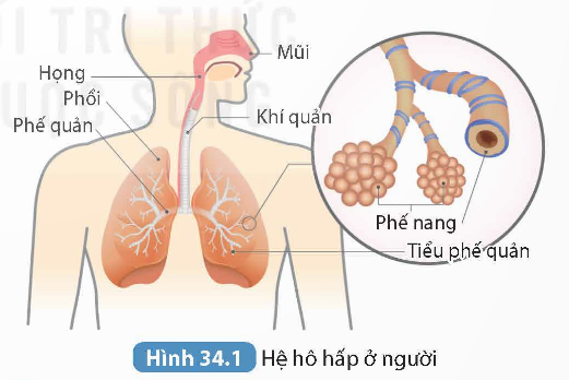 KHỞI ĐỘNG
