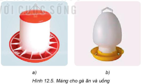 MỞ ĐẦU