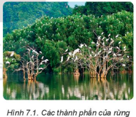 MỞ ĐẦU