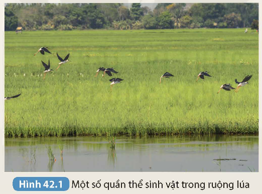 KHỞI ĐỘNG