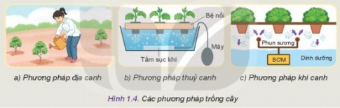 MỞ ĐẦU