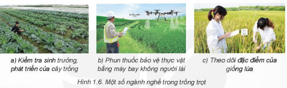 MỞ ĐẦU