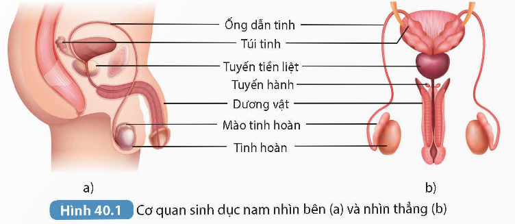 KHỞI ĐỘNG
