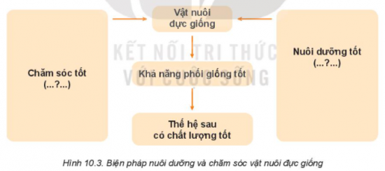 MỞ ĐẦU