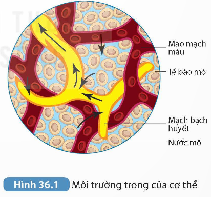KHỞI ĐỘNG