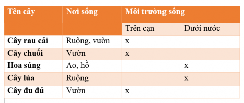 MỞ ĐẦU