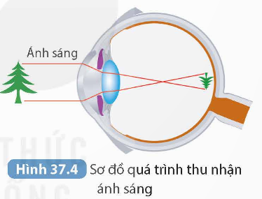 KHỞI ĐỘNG