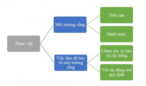 THỰC HÀNH
