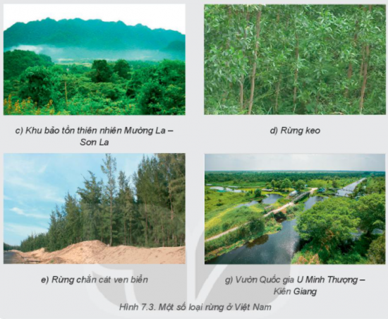 MỞ ĐẦU