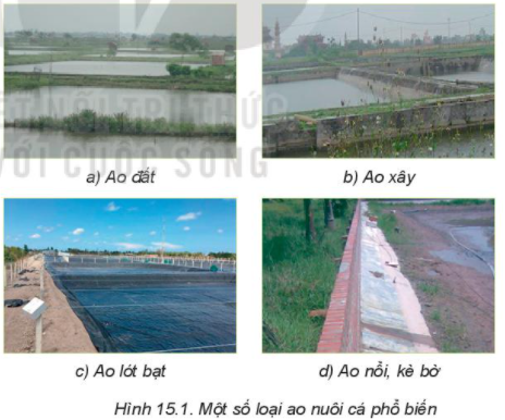 MỞ ĐẦU