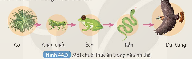 KHỞI ĐỘNG