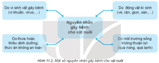 MỞ ĐẦU