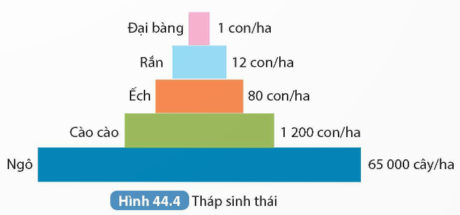 KHỞI ĐỘNG