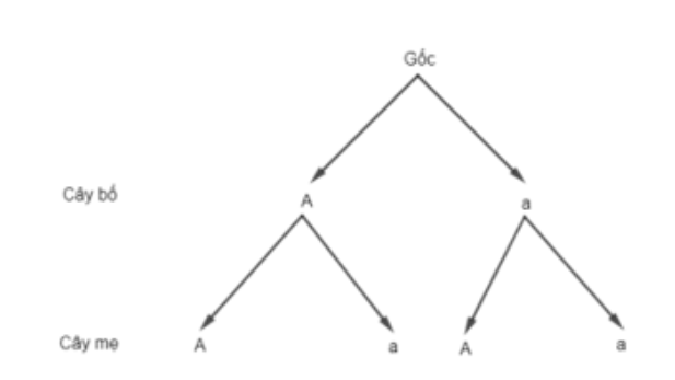 1. PHÉP THỬ LẶP VÀ CÔNG THỨC BERNOULLI