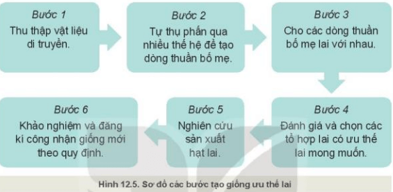 MỞ ĐẦU