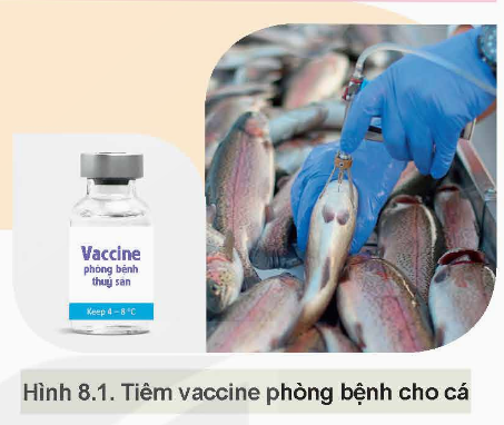 KHỞI ĐỘNG: