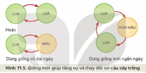 MỞ ĐẦU