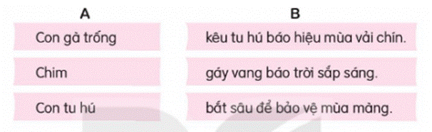 I. KHỞI ĐỘNG