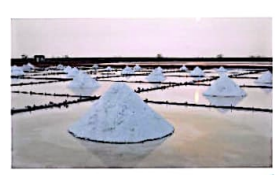 1. HÌNH TRỤ