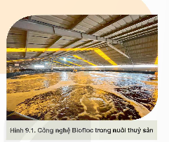 KHỞI ĐỘNG: