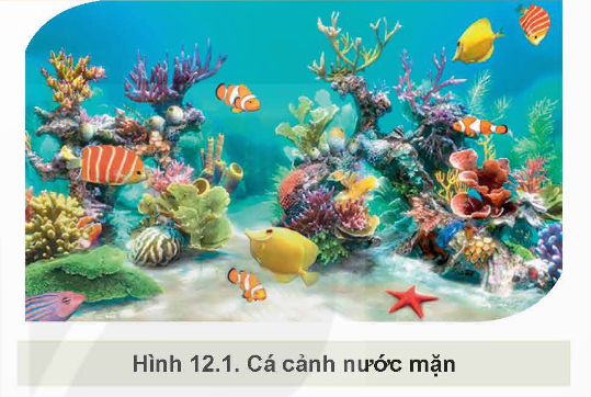 KHỞI ĐỘNG:
