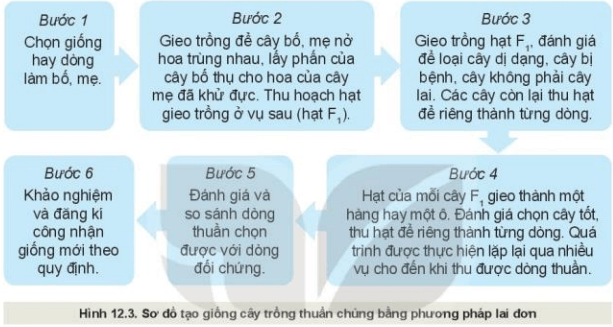 MỞ ĐẦU