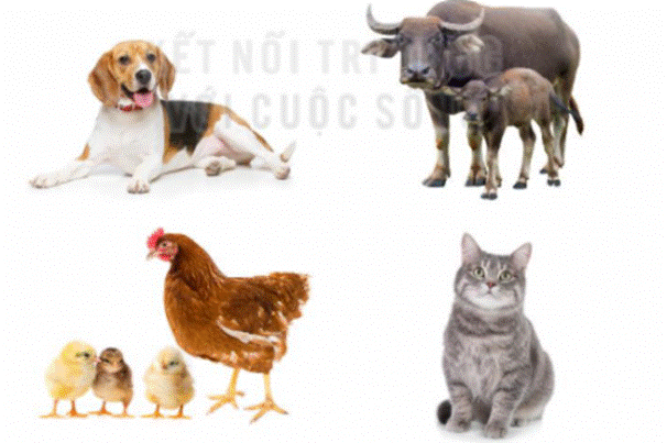 ĐỌC