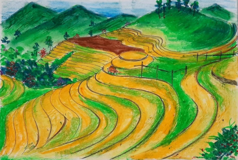 Hoạt động 1: Chia sẻ thu hoạch của bản thân khi đi tham quan cảnh quan thiên nhiên ở địa phương