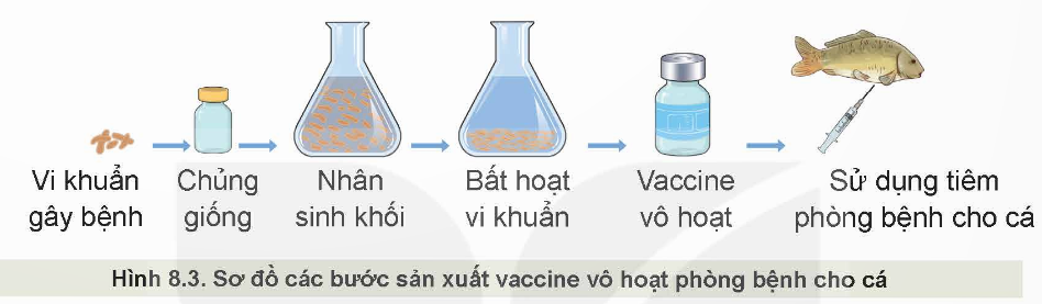 KHỞI ĐỘNG: