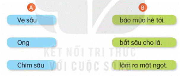 ĐỌC