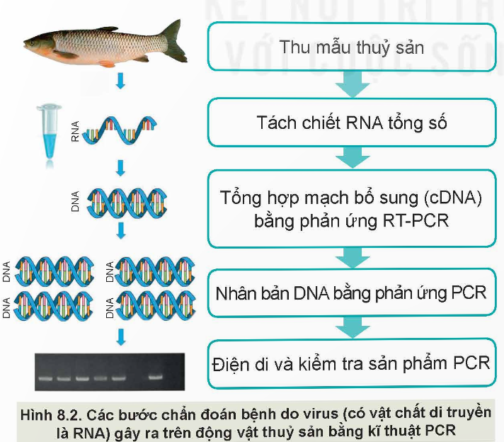 KHỞI ĐỘNG: