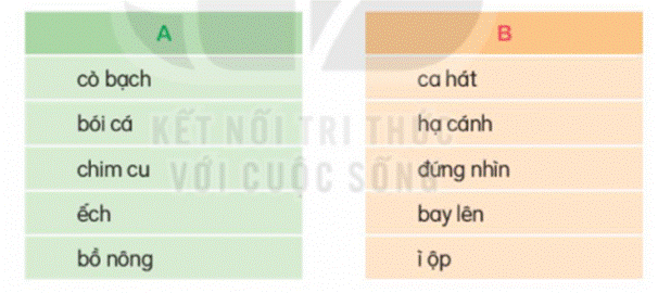 ĐỌC