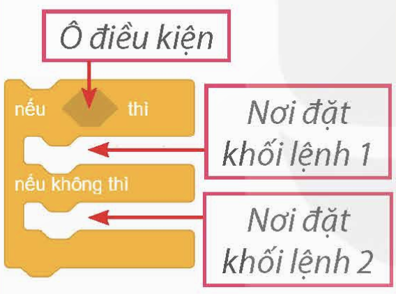 1. Cấu trúc rẽ nhánh