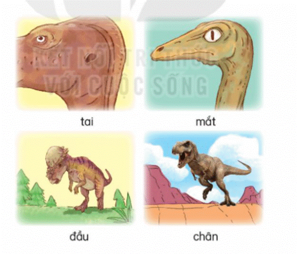 ĐỌC