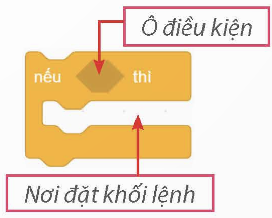 1. Cấu trúc rẽ nhánh