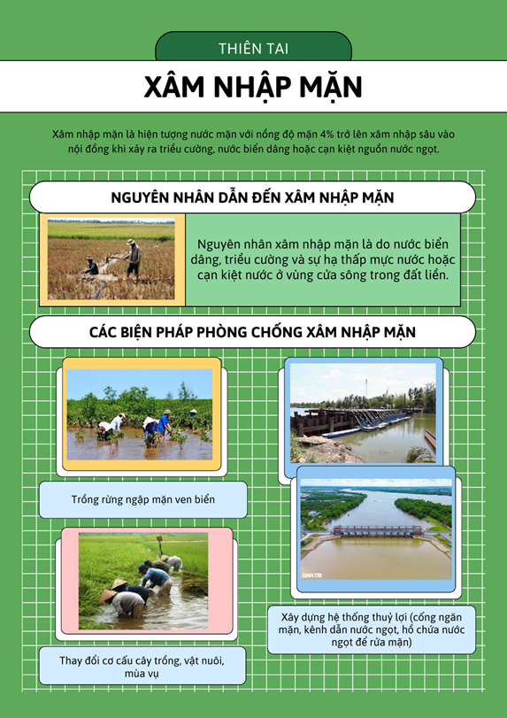III. THỰC HÀNH: TÌM HIỂU VỀ THIÊN TAI Ở VIỆT NAM