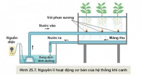 MỞ ĐẦU
