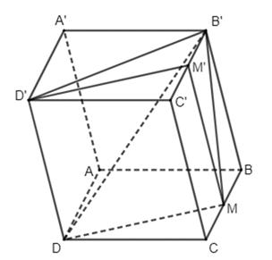 A - TRẮC NGHIỆM