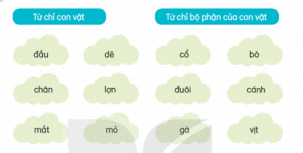 ĐỌC