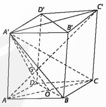 A - TRẮC NGHIỆM
